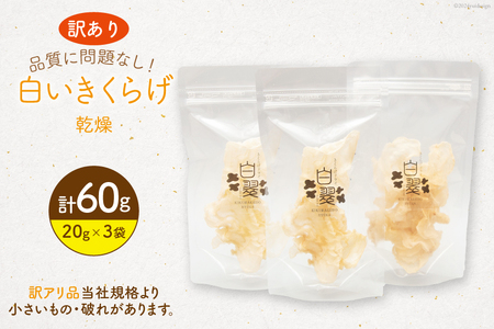 訳あり きくらげ 乾燥 白いきくらげ 20g 3袋 計 60g [きくらげ堂 日向店 宮崎県 日向市 452061063] 国産 キクラゲ 木耳 白
