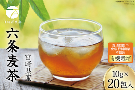 お茶 六条麦茶 10g 20包 [日向百生会 宮崎県 日向市 452061129] 麦茶 むぎ茶 水出し 煮出し ティーバッグ 国産 ノンカフェイン