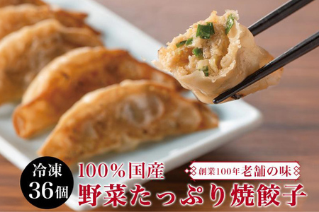 餃子 宮崎 上海花園 特製餃子 36個 [サニーガーデン 宮崎県 日向市 452061171]