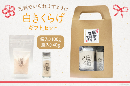 きくらげ 白いきくらげ ギフト セット 粉末 100g 瓶入り 粉末 40g [かいファーム 宮崎県 日向市 452061162] キクラゲ 木耳 きくらげパウダー パウダー 国産