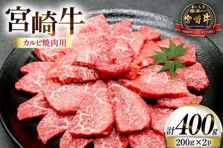牛肉 宮崎牛 カルビ 焼肉用 200g 2p 計 400g [ローカルブランディング 宮崎県 日向市 452061415] 冷凍 小分け 黒毛和牛 黒毛 A4 A5 焼肉 焼き肉 BBQ バーベキュー 国産