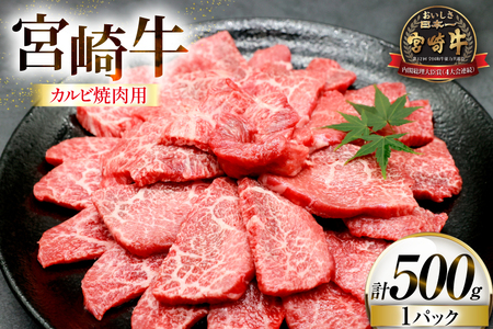 牛肉 宮崎牛 カルビ 焼肉用 500g 1p [ローカルブランディング 宮崎県 日向市 452061525]