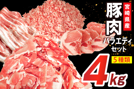 豚肉 詰め合わせ 宮崎県産豚肉 バラエティ セット 5種 4kg [南九フーズ 宮崎県 日向市 452061516]