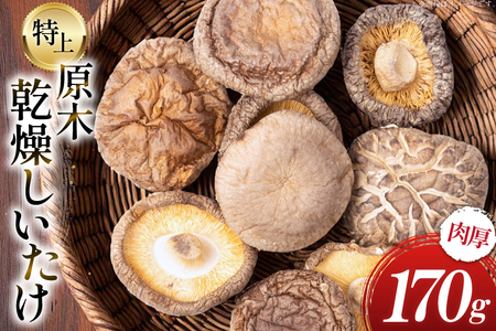 Y     ǂ 170g [lӂ {茧 s 452061577]