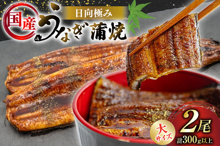 Ȃ Y ɂ Ȃ 2 v300gȏ yERtz [Tp[N {茧 s 452061636]