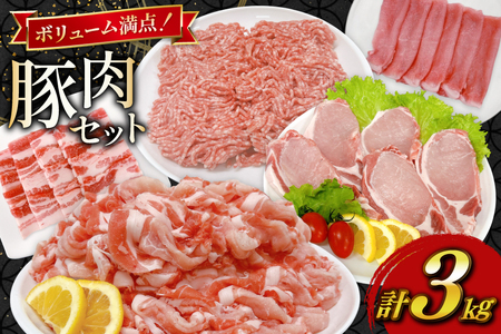 豚肉 宮崎県産豚肉 3kg 詰め合わせ セット [TRINITY 宮崎県 日向市 452061329]