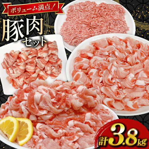 豚肉 宮崎県産豚肉 3.8kg 詰め合わせ セット [TRINITY 宮崎県 日向市 452061327]