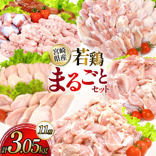 鶏肉 業務用 宮崎県産 若鶏 もも切身 むね切身 筋なしささみ 砂肝 肝 手羽先 手羽中 手羽元 肩肉 小肉 骨付きもも 計 3.05kg セット [TRINITY 宮崎県 日向市 452061335] 