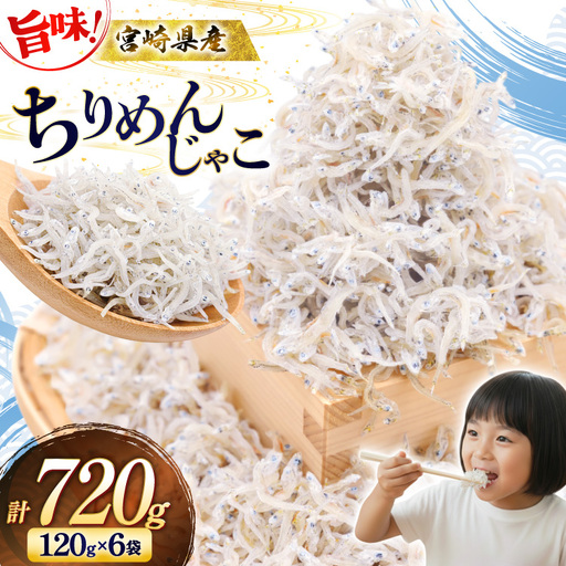 ちりめん 宮崎県産 無添加 ちりめんじゃこ 120g 6p 計720g [幸脇漁業生産組合 宮崎県 日向市 452061654]