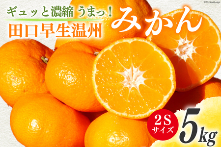 先行受付】黒田農園のギュッと濃縮！！パクっと小粒！ひょっとこみかん