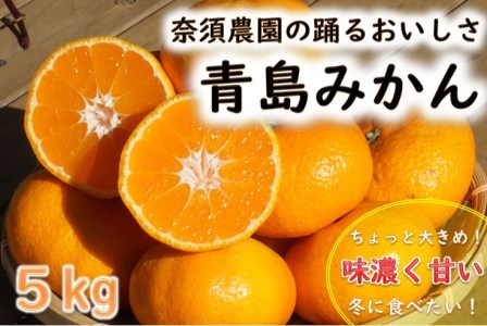 [期間限定発送]踊るおいしさ!味濃く甘い! 青島みかん 2L 5kg [奈須農園 宮崎県 日向市 452061479]