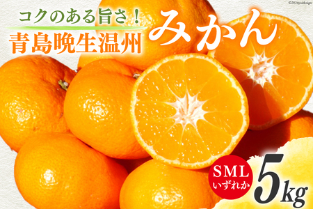 みかん 5kg[期間限定発送]コクのある甘さ うまぁ〜い!!青島晩生温州みかん S・M・L いずれか [黒田農園 宮崎県 日向市 452060137] 果物 フルーツ ミカン 蜜柑 柑橘