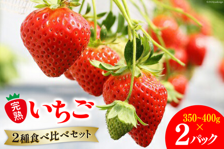 【期間限定発送】 果物 完熟いちご 食べ比べセット 350g～400g×2 [亀の子いちご園 宮崎県 日向市 452060852] フルーツ 苺 イチゴ 朝摘み 朝どれ 新鮮 やよいひめ よつぼし さがのほか 紅ほっぺ 国産