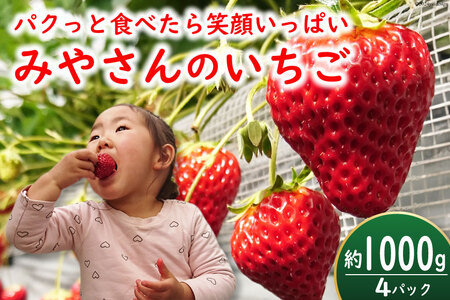 [期間限定発送]みやさん自慢のおすすめチョイス! 完熟 いちご (250g×4パック) 約1000g [みやさんのいちご 宮崎県 日向市 452060988]