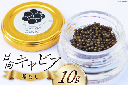 日向キャビア(Hyuga Caviar) 10g【箱なし】(冷凍・フレッシュキャビア) [13-115]