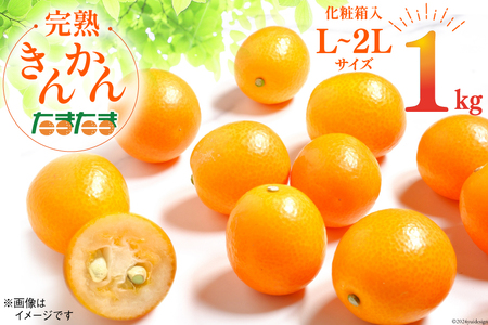 yԌ蔭z 󂠂 n  ܂ 1kgsnEX͔|t [_ {茧 s 452060981]