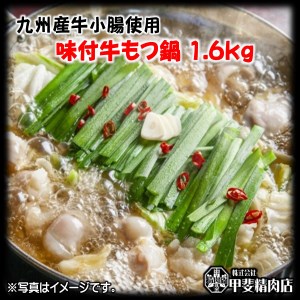 もつ鍋 九州産 牛もつ鍋 1.6kg (400g×4袋) [甲斐精肉店 宮崎県 日向市 452060121] モツ鍋 味付け 醤油 肉 牛ホル ホルモン 牛ほる 牛肉 肉 鍋用 冷凍