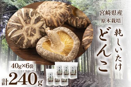 宮崎県産 原木栽培 乾しいたけ どんこ 40g 6袋 計240g [本吉 宮崎県 日向市 452061461]