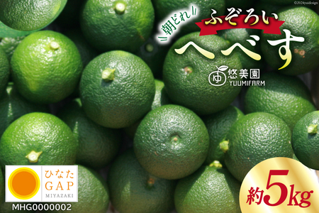 yԌ蔭z ւׂ ЂȂGAPF ӂ낢 5kg [ւׂ̗I {茧 s 452060724]