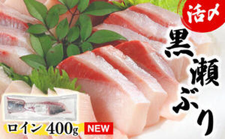 KU281-12026N2߁IԂ̐NuC2?3߁i400gOj