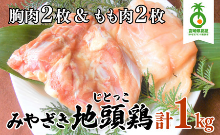 U-A3 [認定農家直送]のびのびと育てたみやざき地頭鶏の生肉セット(合計1kg・モモ肉300g×2P、ムネ肉200g×2P)炭焼やソテー、鶏すき焼きに[権代ファーム]