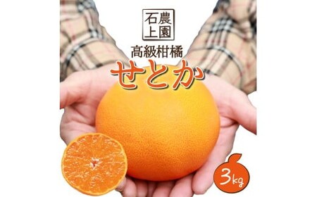 AF-B1 数量限定！串間市都井「石上農園」高級柑橘せとか 3kg（10～12玉）【石上農園】