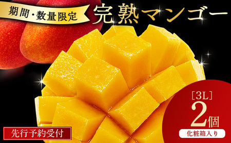 Y-CD9 宮崎県串間市産!完熟マンゴー(赤秀3L×2個)化粧箱入り[スーパーほりぐち]