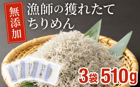 漁師の獲れたてちりめん 計510g(170g×3袋)[株式会社猪塚水産][KU093]