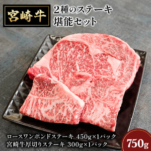 宮崎牛2種のステーキ堪能セット