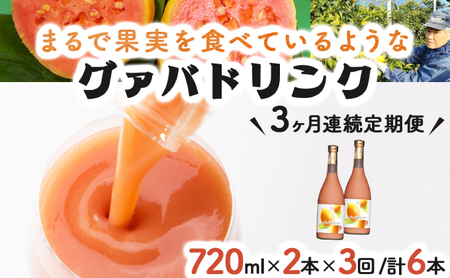 [定期便・全3回]まるで果実を食べているような!グァバドリンク2本セット(各720ml)×3回[宮崎果汁]