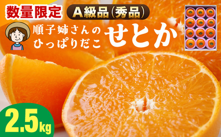 ≪数量限定・A級品≫ 順子姉さんのひっぱりだこ愛情せとか 2.5kg