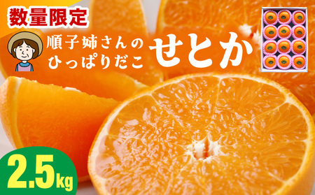 ≪数量限定≫ 順子姉さんのひっぱりだこ愛情せとか 2.5kg