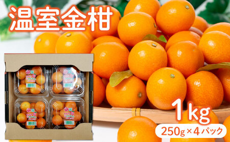 KU434[先行予約] 温室金柑1kg(250g×4パック)