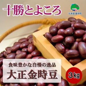 十勝とよころで育った金時豆3kg[豊頃町農業協同組合]