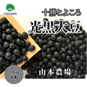 山本農場 十勝とよころ 光黒大豆1.6kg(大粒)