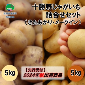 十勝野じゃがいも詰合せセット10kg(きたあかり・メークイン)[2024年秋出荷](先行受付)[按田農場]