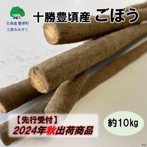 十勝豊頃産 ごぼう約10kg[2024年秋出荷](先行受付)[工房みみずく]