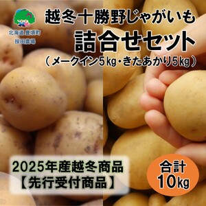 z~\삶ႪlZbg10kgiE[NCjy2026Ntoׁzistjmc_n