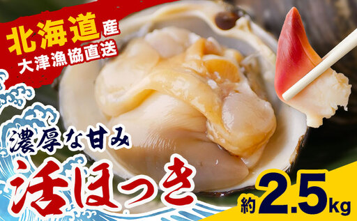 たっぷり 2.5kg!活ほっき貝 北海道 豊頃町 大津漁業協同組合 産地直送 ほっき ホッキ 北寄貝 期間限定 5月中旬-6月下旬頃出荷