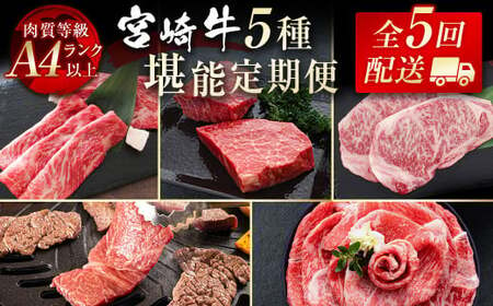 [5カ月定期便]宮崎牛 焼肉 スライス ステーキ A4等級以上 ブランド 内閣総理大臣賞4連覇 国産牛肉[9-7]