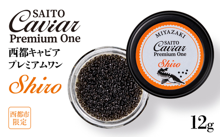 SAITO CAVIAR PREMIUM ONE SHIRO 12g キャビア 西都市オリジナル[3.8-1]鮎のよしの