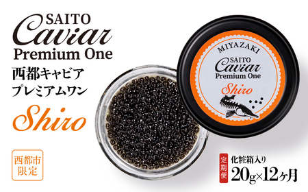 [定期便]SAITO CAVIAR PREMIUM ONE SHIRO 20g×12カ月 キャビア 西都市オリジナル[44-1]鮎のよしの