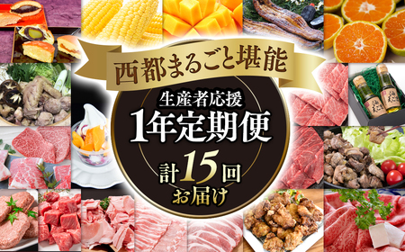 12月31日終了[季節の定期便]西都まるごと堪能セット シルバーコース 1年定期便 令和7年1月発送開始[20-8]