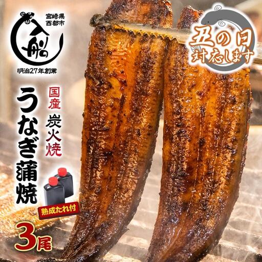 【土用の丑の日】うなぎ 蒲焼 3尾 炭火焼 無頭 炭火の香ばさ際立つ老舗 「うなぎの入船」熟成たれ付真空　小分け 国産＜13-3a＞