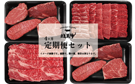 [定期便]都萬牛 4カ月定期便セット 国産牛肉[10-2]