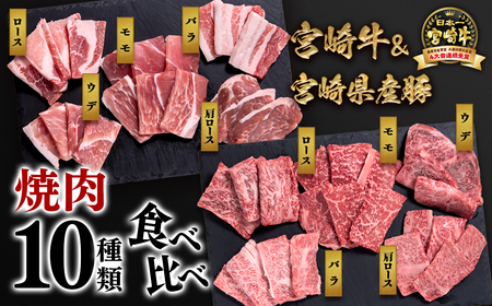 [宮崎牛&宮崎県産豚肉]焼肉10種盛り 食べ比べセット計600g 国産牛肉 国産豚肉 ミヤチク[1.1-7]