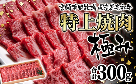 黒毛和牛 特上焼肉極み 300g 宮崎有田牧場 EMO牛 国産牛肉[1-63]