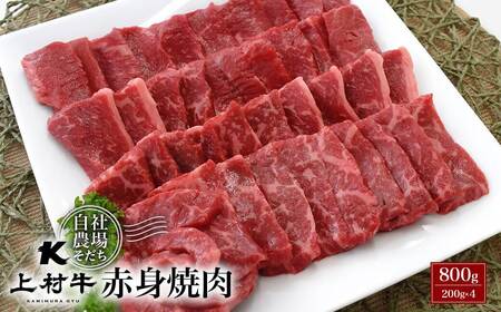 宮崎県産 上村牛赤身焼肉800g 国産牛肉 カミチク[1.4-4]