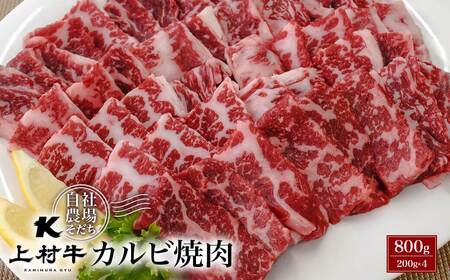 宮崎県産 上村牛カルビ焼肉800g 国産牛肉 カミチク[1.4-5]