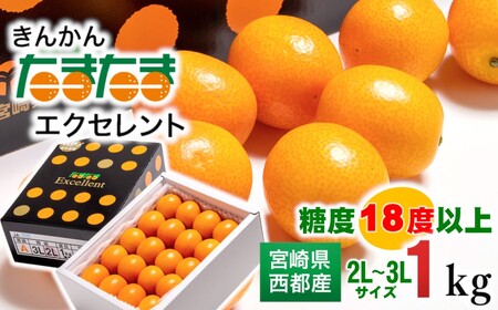 [先行予約]糖度18度以上 きんかんたまたまエクセレント1kg 宮崎県西都市産[1.7-27]